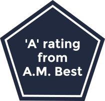 The AM Best rating for the Hanover Insurance Group.